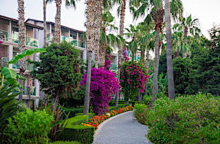 Sealife Buket Beach & Resort Genel 5
